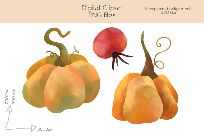 pumpkin-clipart-png-files