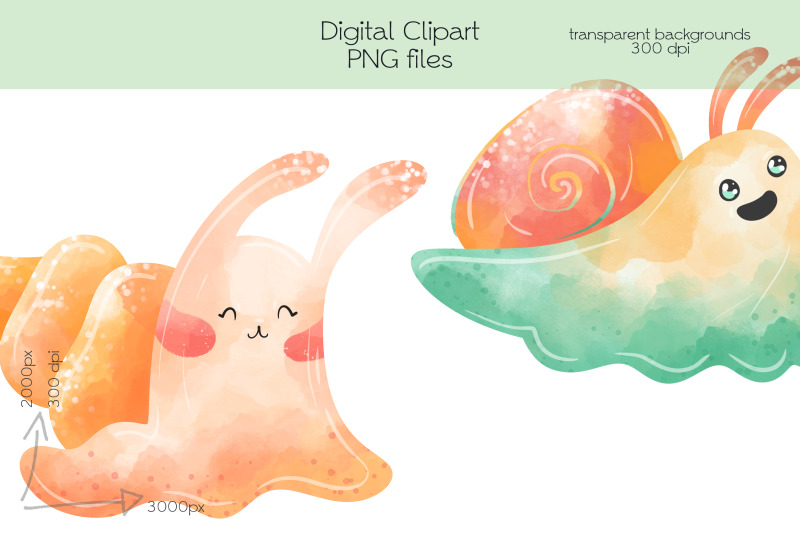 snails-clipart-png-files