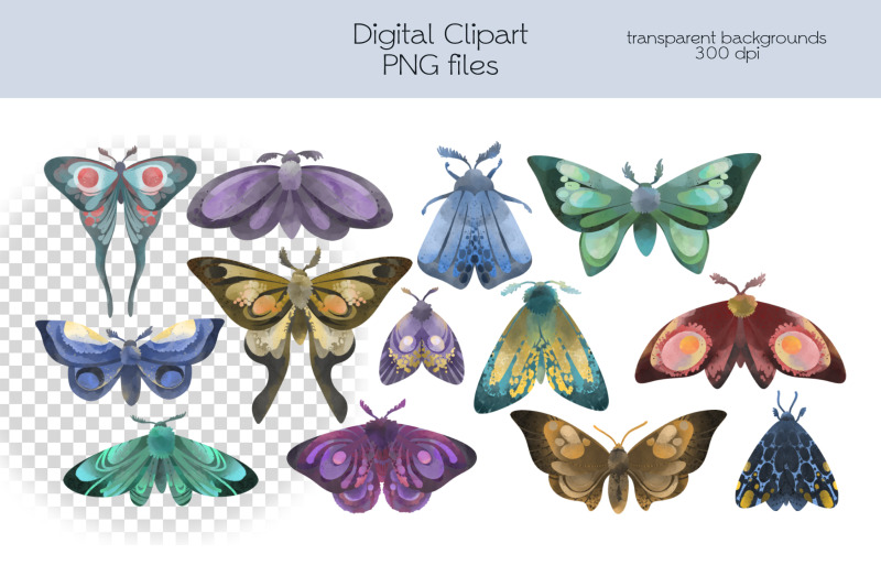 moth-clipart-png-files