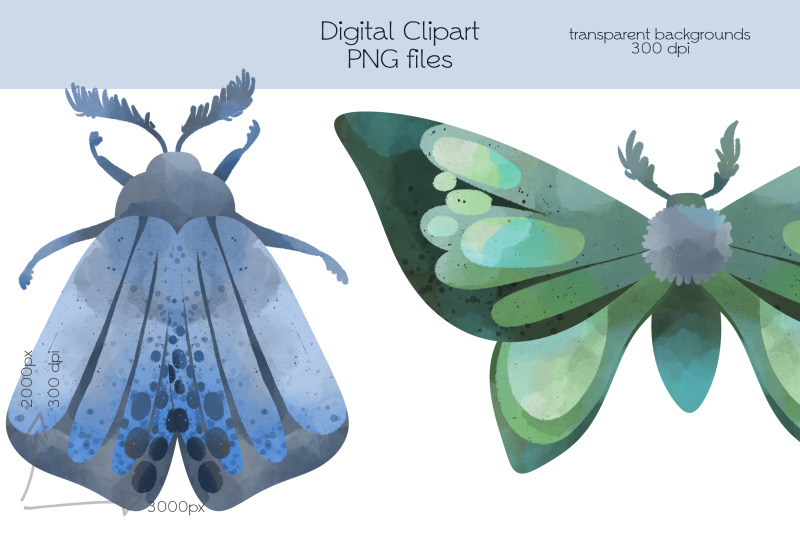 moth-clipart-png-files