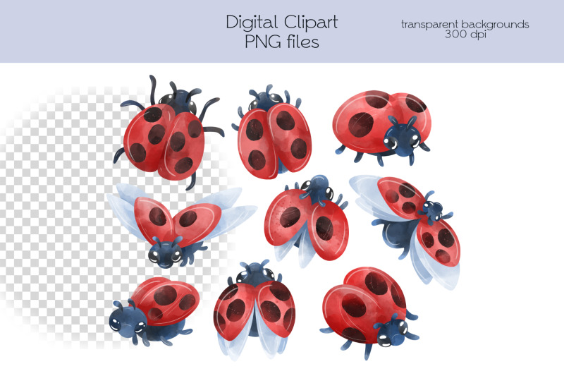 ladybug-clipart-png-files