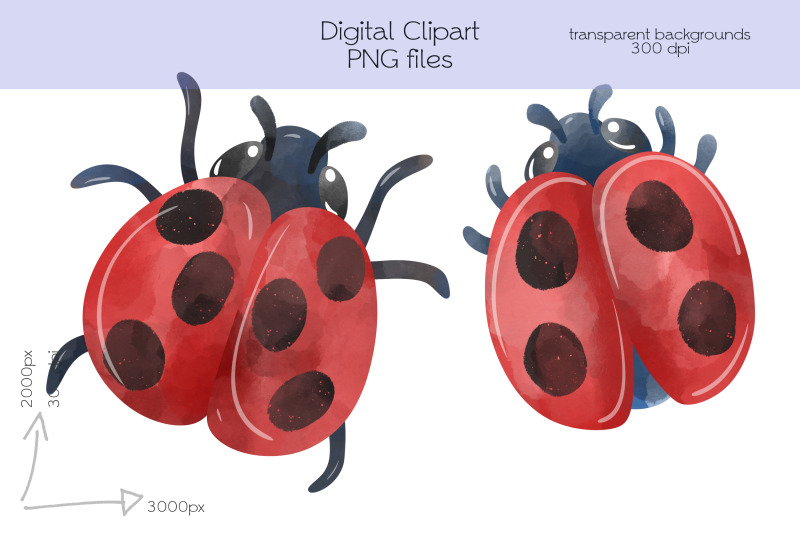 ladybug-clipart-png-files