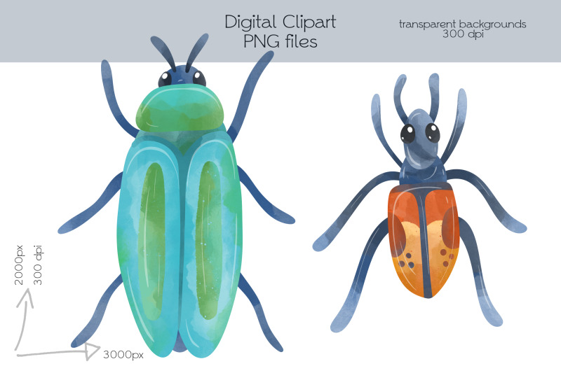 bugs-clipart-png-files