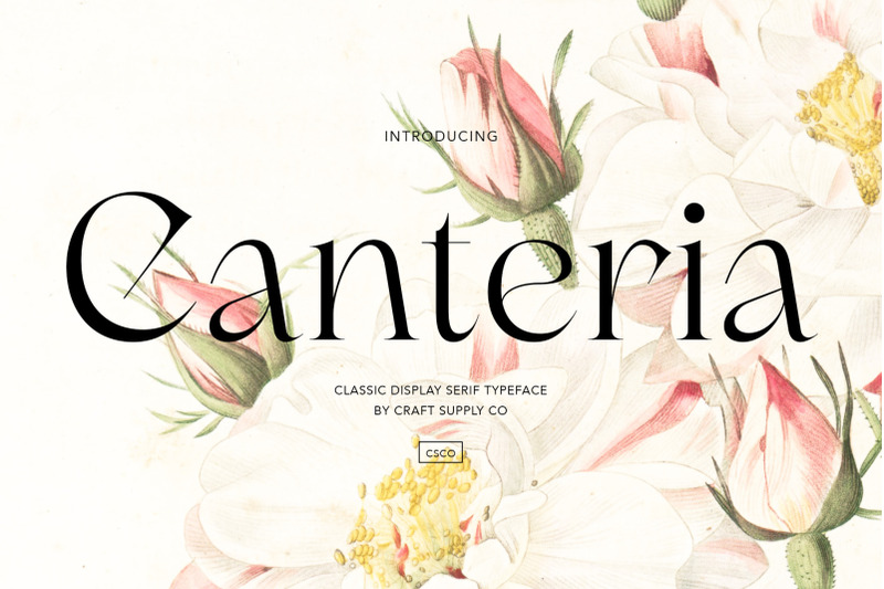 canteria-classic-display-serif
