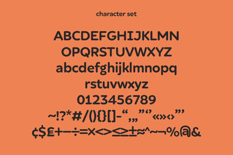 bregia-soft-sans-display-font