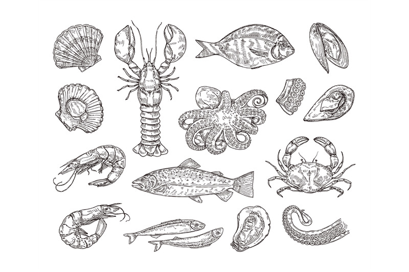 hand-drawn-seafood-hand-drawn-crab-shrimp-and-octopus-sea-scallops