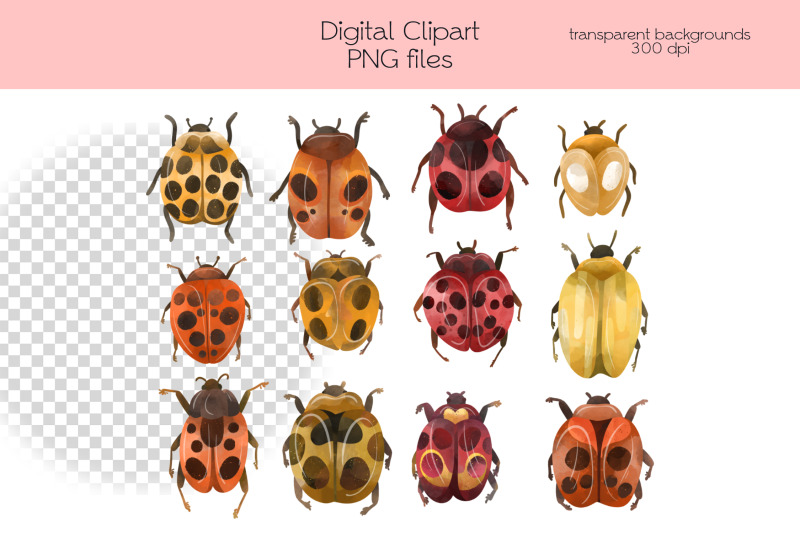 ladybug-clipart-png-files