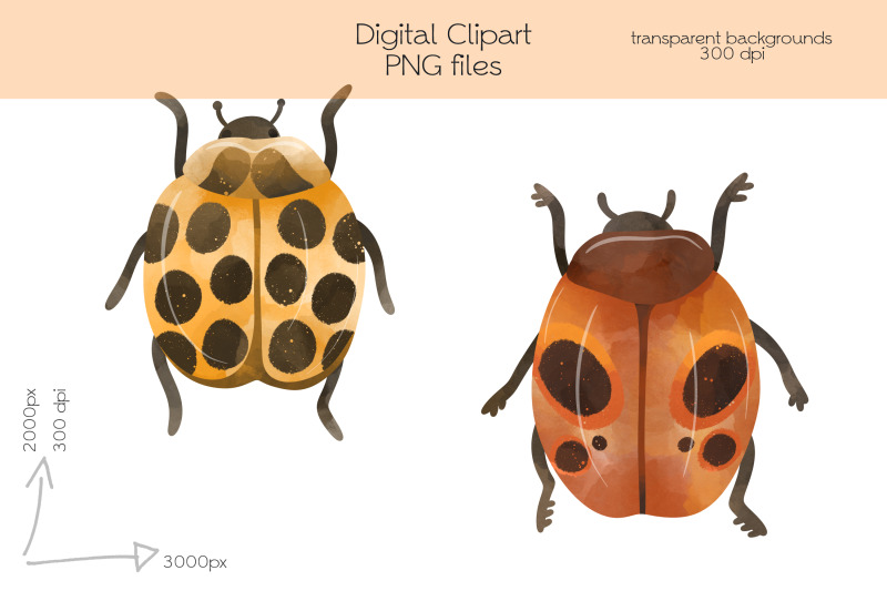 ladybug-clipart-png-files