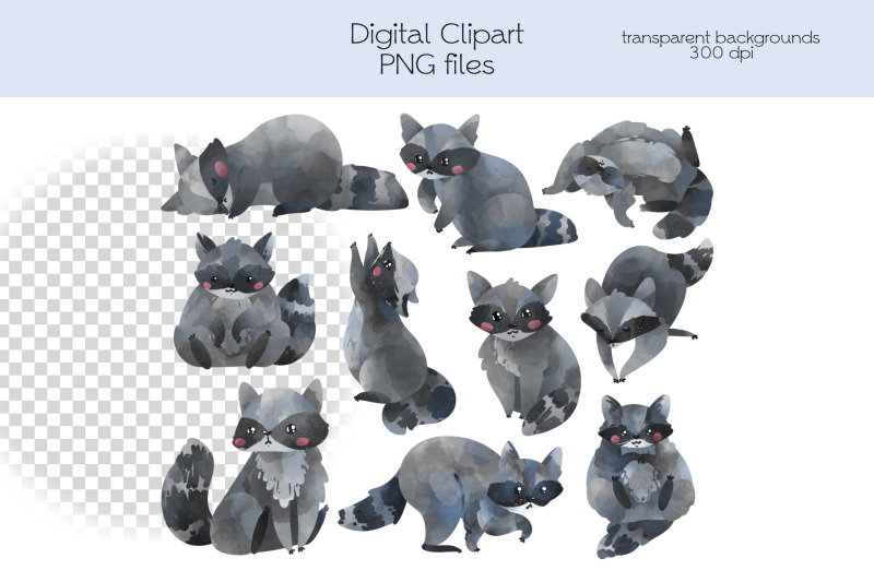 raccoon-clipart-png-files