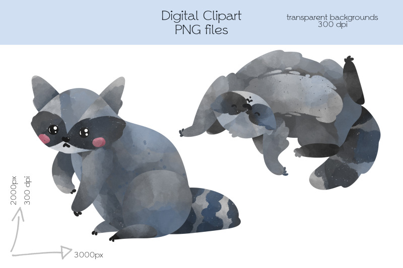 raccoon-clipart-png-files