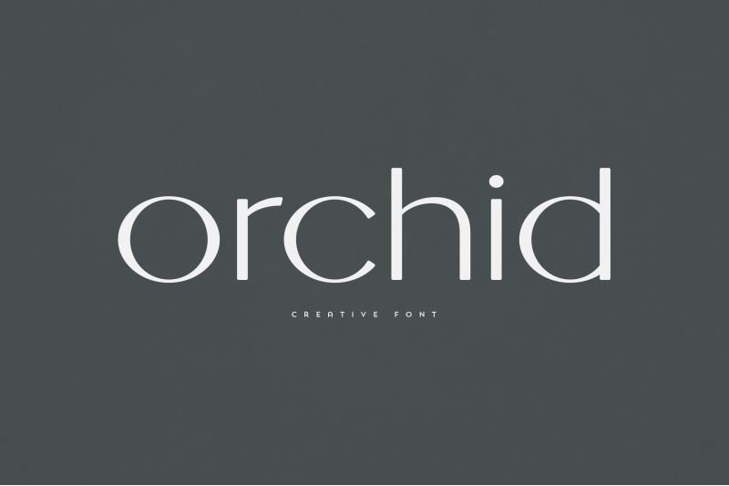 orchid-creative-font