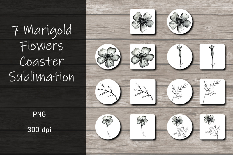 marigold-flowers-coaster-sublimation-design-bundle