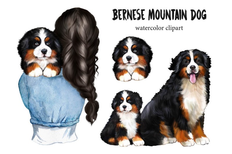 bernese-mountain-dog-clipart-watercolor-dog-clipart-puppy-portrait