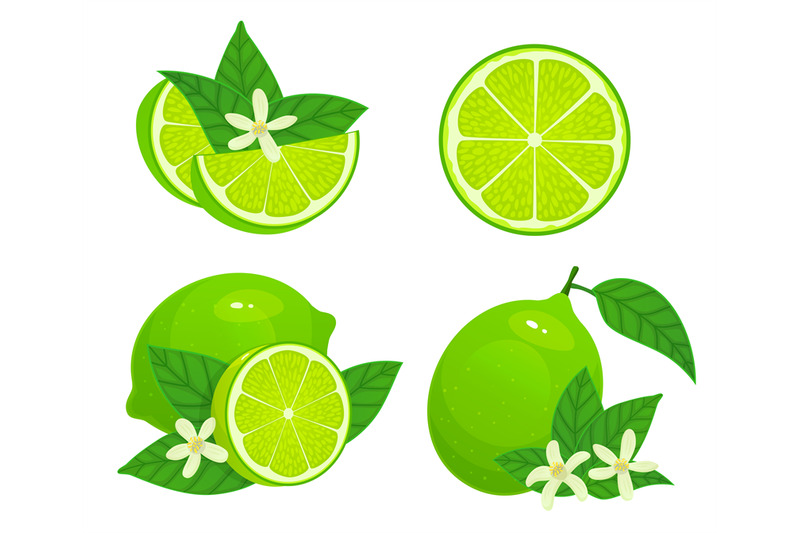 cartoon-lime-fresh-whole-half-and-part-citrus-organic-fruit-with-le