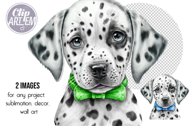 cute-watercolor-dalmatian-puppy-clip-art-digital-png-images