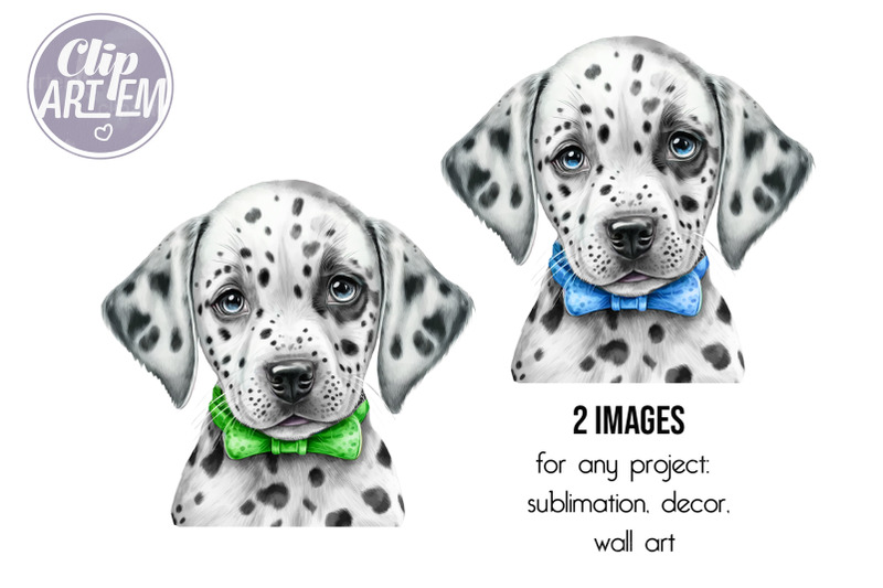 cute-watercolor-dalmatian-puppy-clip-art-digital-png-images