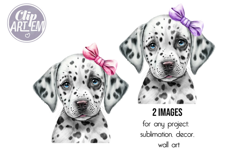 dalmatian-girl-puppy-with-pink-purple-bow-watercolor-2-png-clip-art