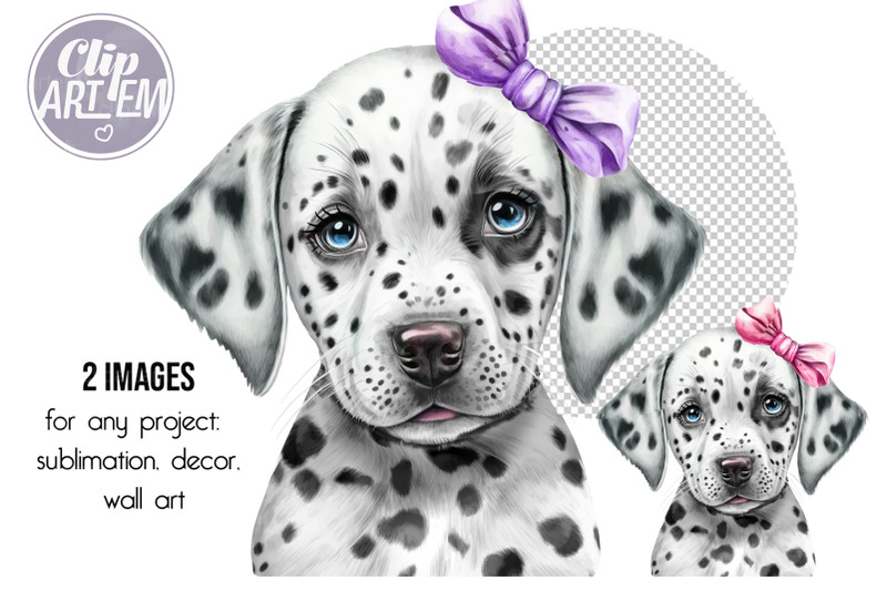 dalmatian-girl-puppy-with-pink-purple-bow-watercolor-2-png-clip-art