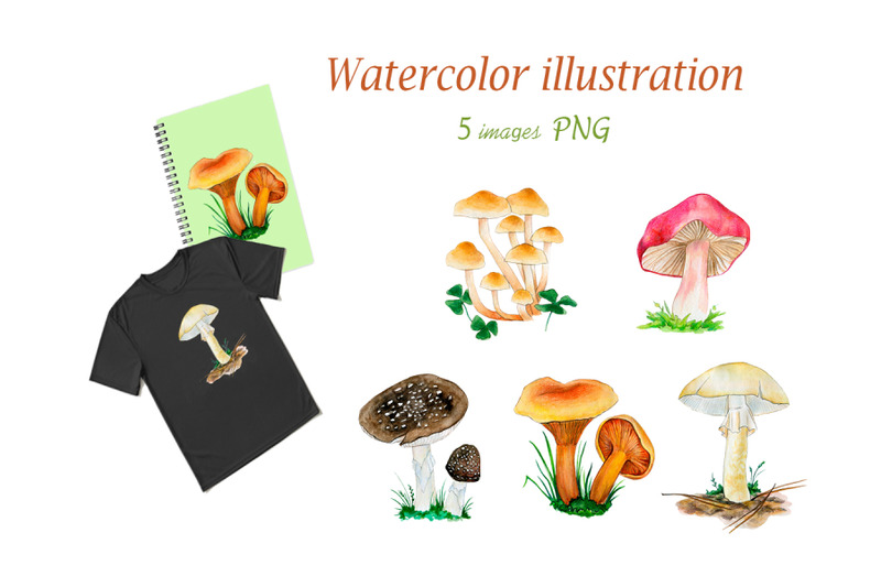 watercolor-illustrations-of-inedible-mushrooms