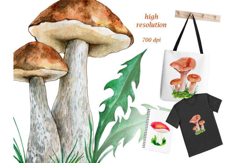 watercolor-illustration-of-the-forest-mushrooms