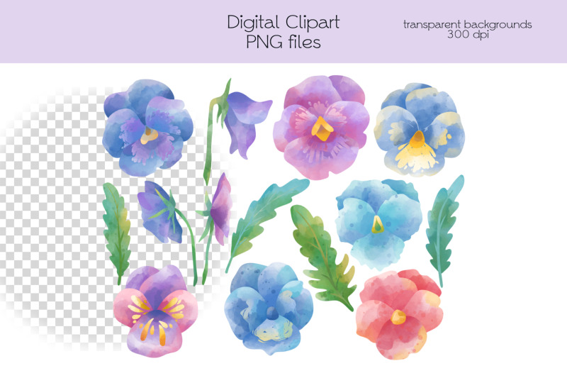 pansy-clipart-png-files