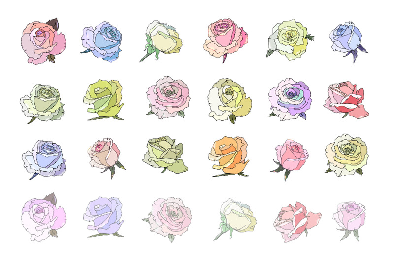 rose-collection