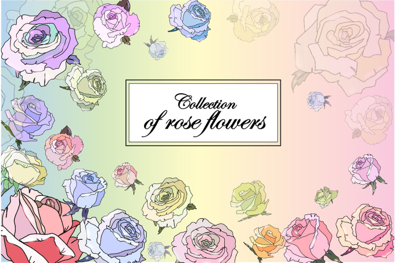 rose-collection