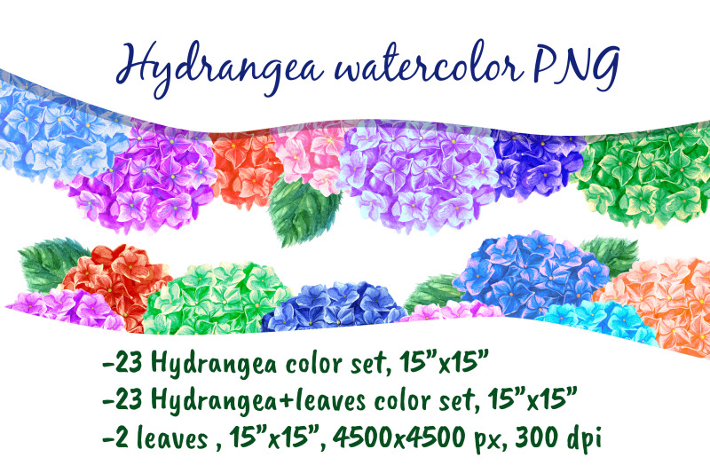 hydrangea-watercolor-flowers-clipart-png-floral