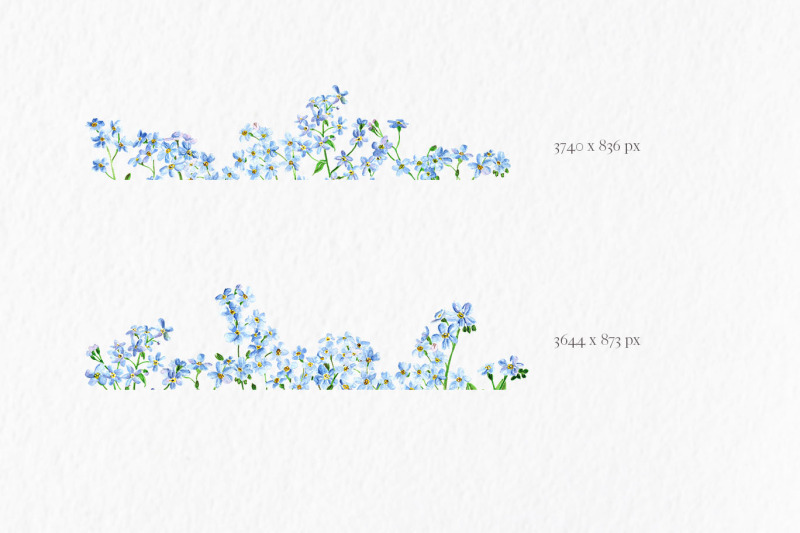 wildflower-border-set-forget-me-not-invitation-clipart-c67