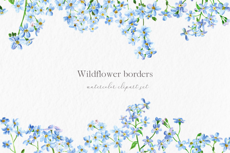 wildflower-border-set-forget-me-not-invitation-clipart-c67