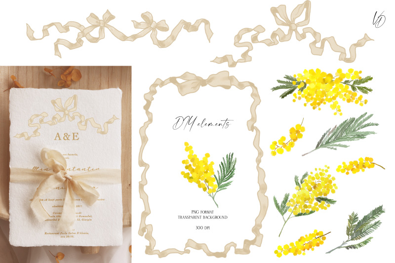 mimosa-flowers-spring-collection