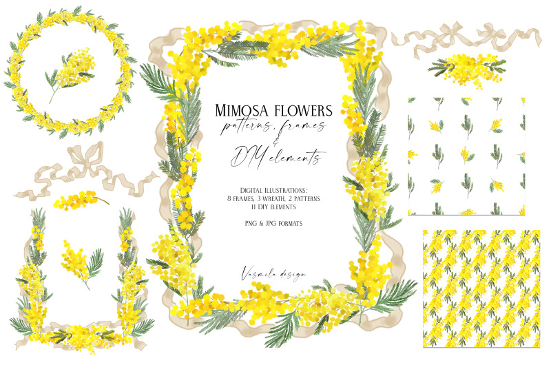 mimosa-flowers-spring-collection