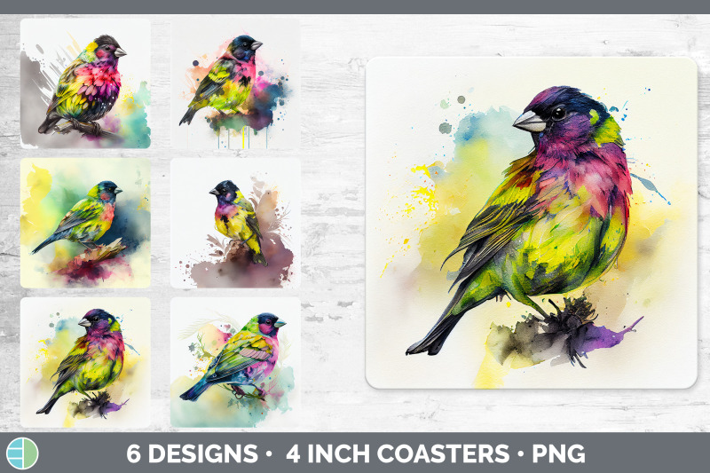 rainbow-siskin-square-coaster-sublimation-designs-bundle