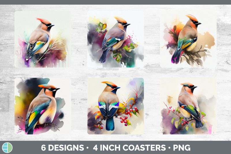 rainbow-waxwing-square-coaster-sublimation-designs-bundle