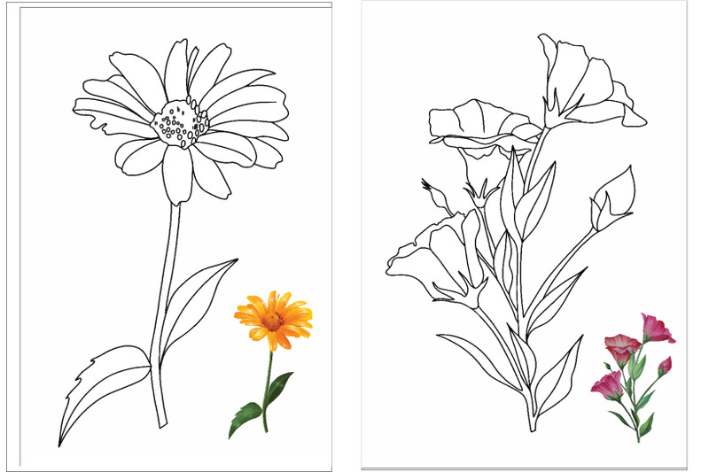 coloring-page-flowers