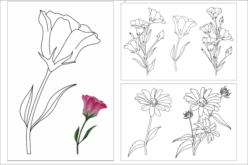 coloring-page-flowers