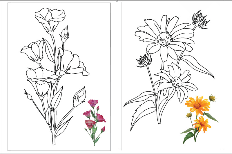 coloring-page-flowers