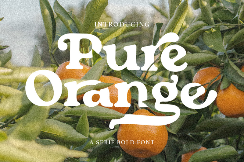pure-orange-serif-bold-font