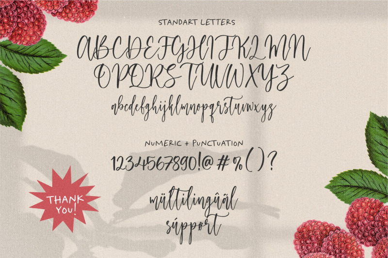 raspberry-smash-modern-calligraphy-font