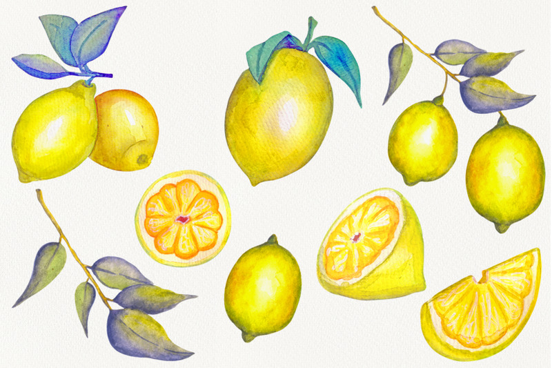 set-of-watercolor-lemons