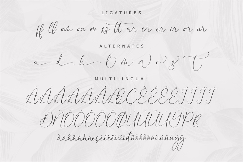 disttoris-andarlin-elegant-script-font