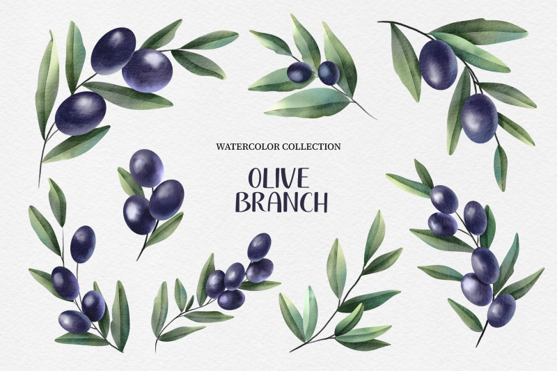 olive-branches-watercolor-clipart-amp-frames