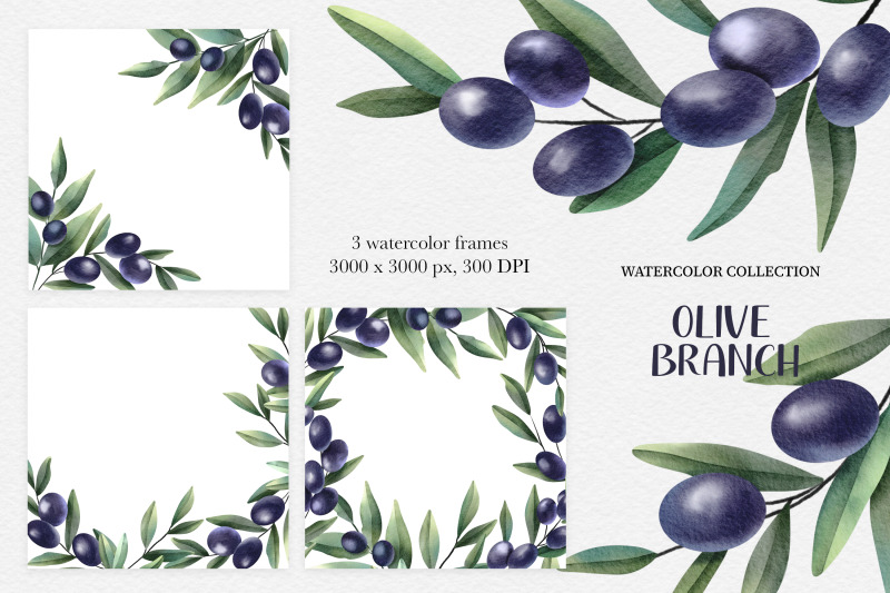 olive-branches-watercolor-clipart-amp-frames