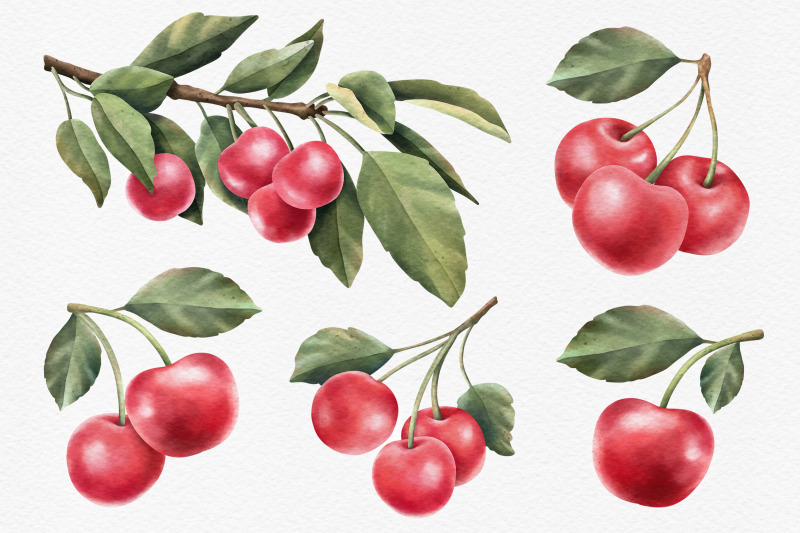 red-cherry-branch-watercolor-collection