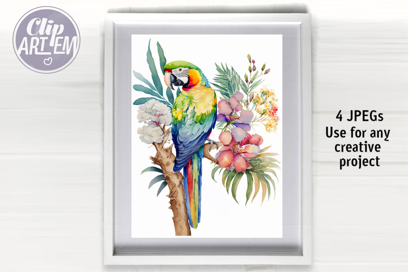 tropical-parrot-watercoloi-images-4-jpeg-wall-art-bundle