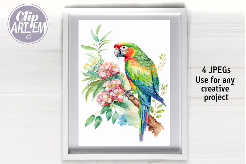 tropical-parrot-watercoloi-images-4-jpeg-wall-art-bundle