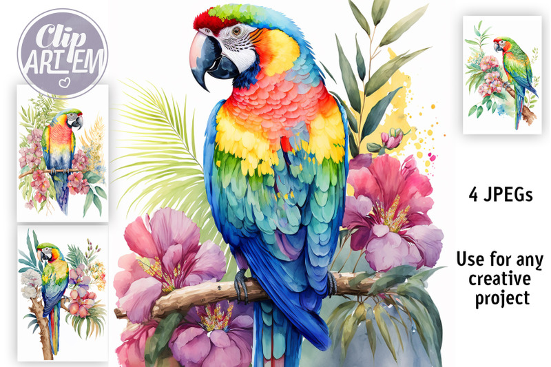 tropical-parrot-watercoloi-images-4-jpeg-wall-art-bundle