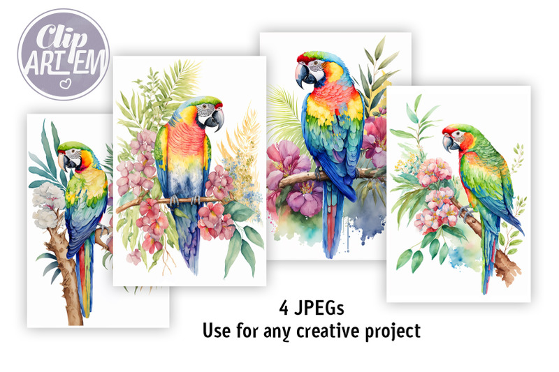 tropical-parrot-watercoloi-images-4-jpeg-wall-art-bundle