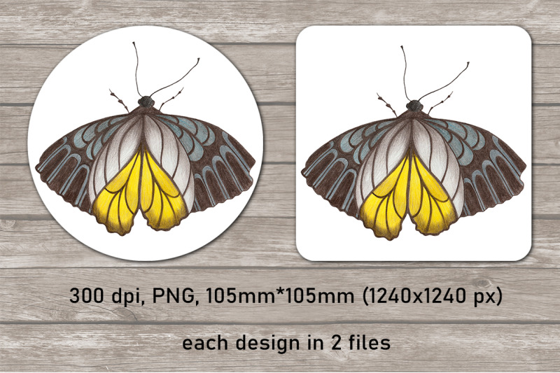 butterfly-coaster-sublimation-design-bundle