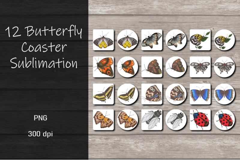 butterfly-coaster-sublimation-design-bundle